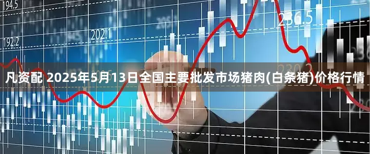 凡资配 2025年5月13日全国主要批发市场猪肉(白条猪)价格行情